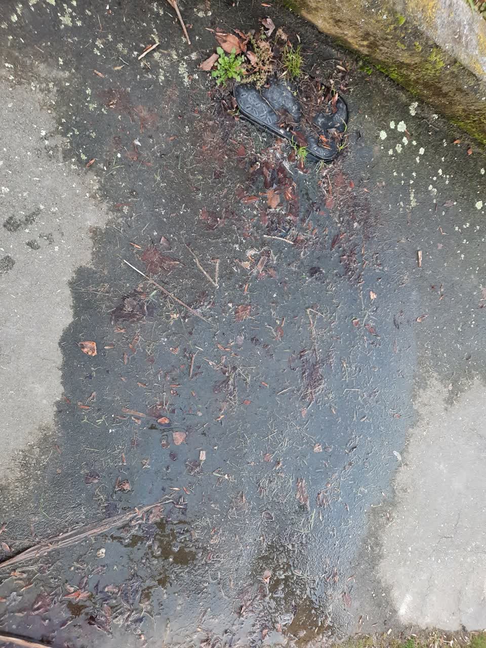 The photograph attached to this water leak report
