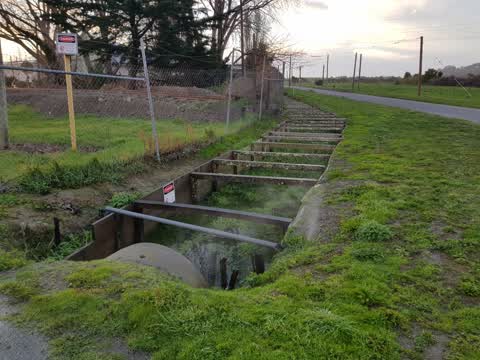 Water Leak — a report photo