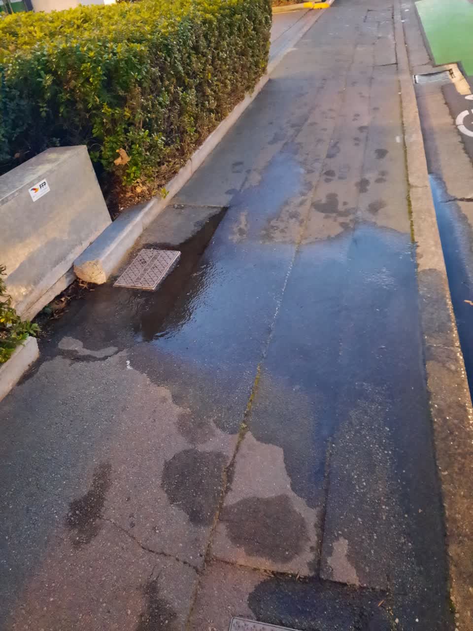 The photograph attached to this water leak report