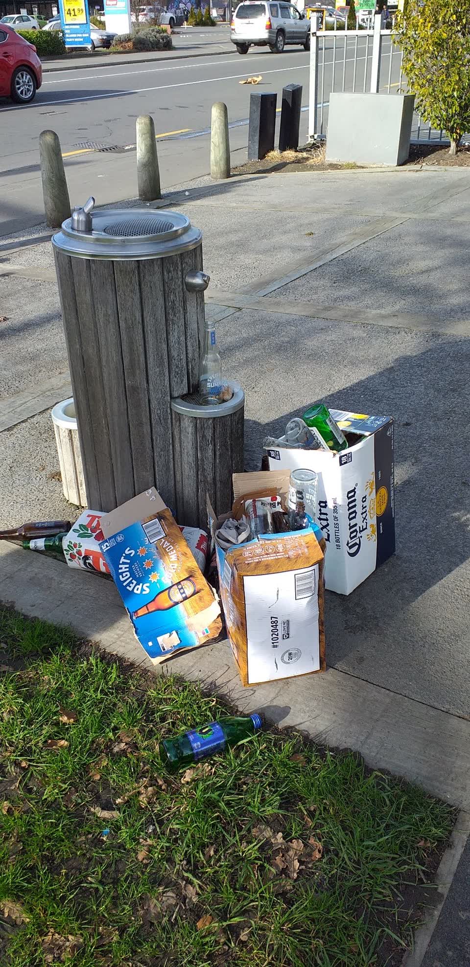 The photograph attached to this parks report