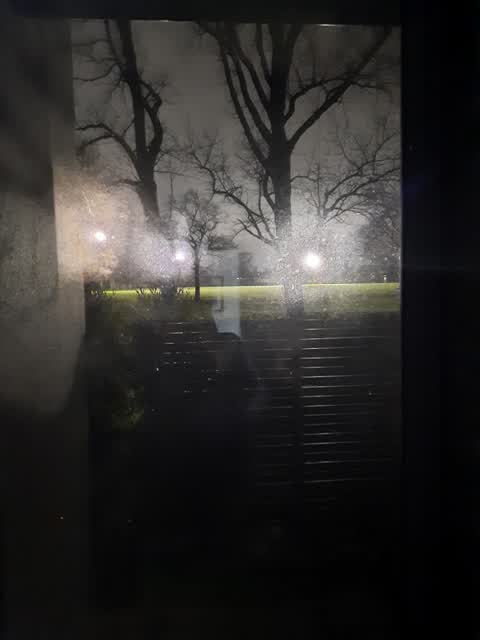 Parks — a report photo