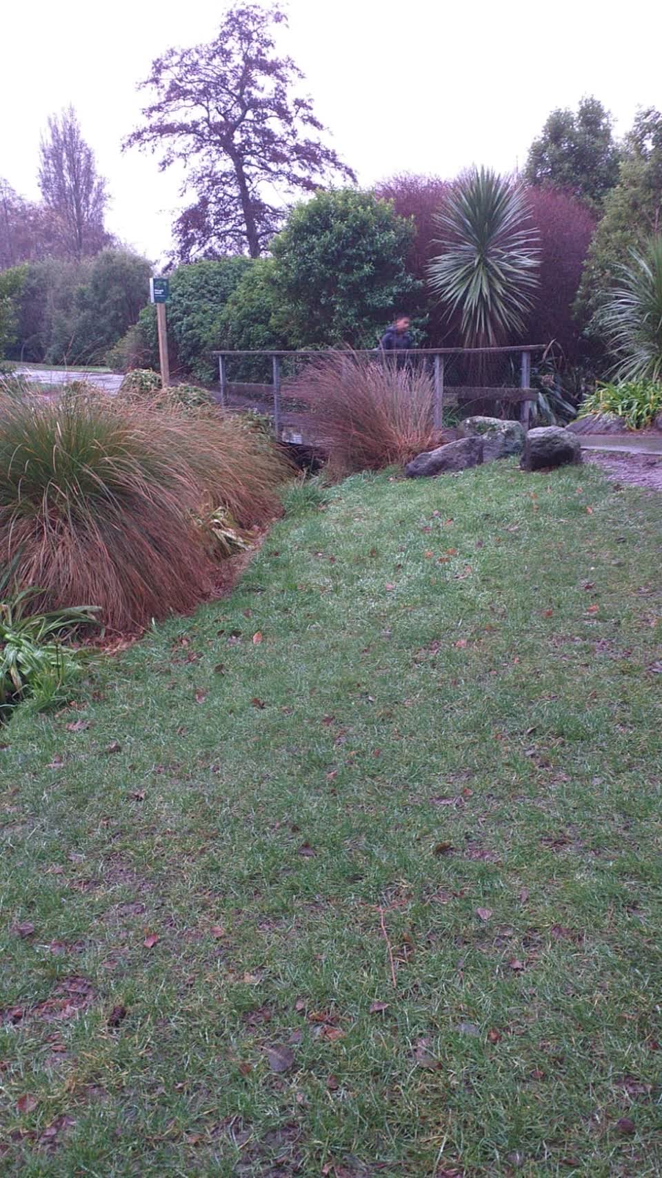 The photograph attached to this parks report