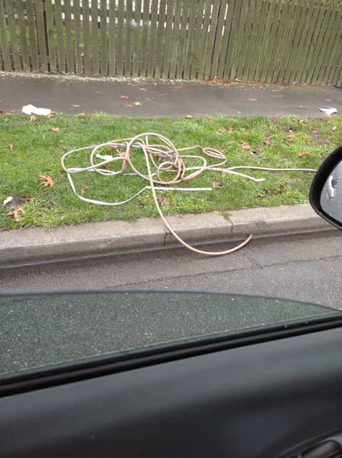 Rubbish/Recycling, a report photo