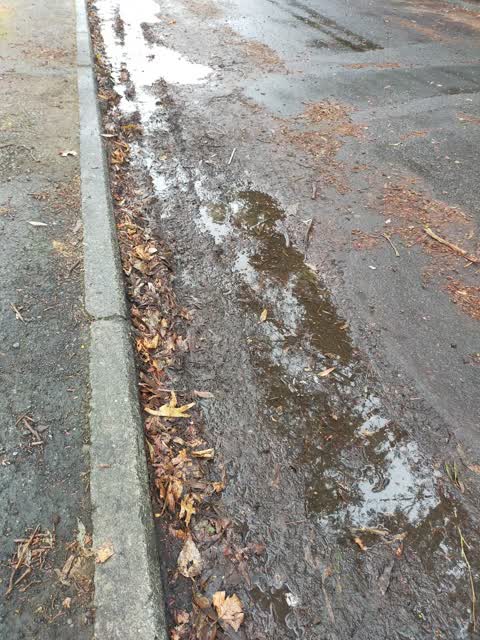 Roading/Streets, a report photo