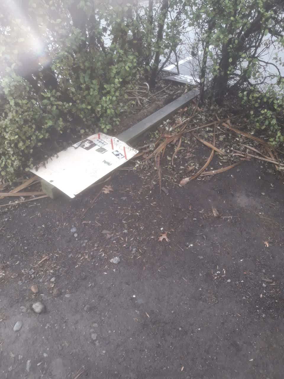 The photograph attached to this parks report