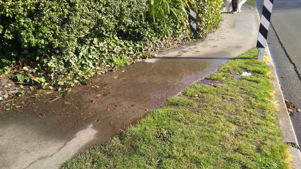 The photograph attached to this water supply report