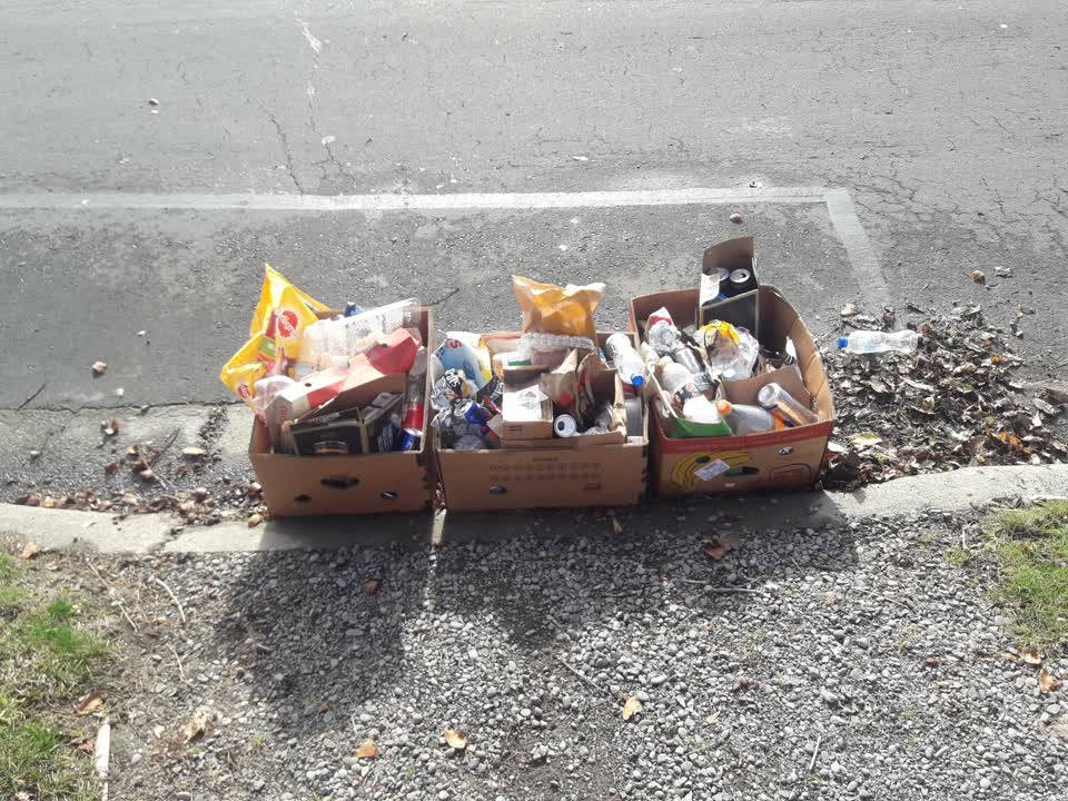The photograph attached to this rubbish/recycling report