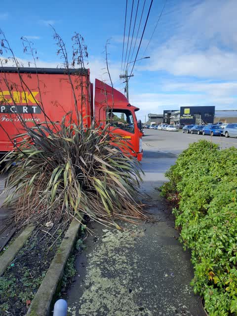 Roading/Streets, a report photo