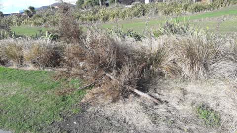Parks, a report photo