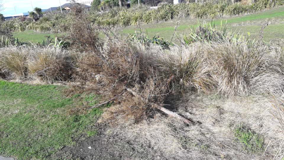 The photograph attached to this parks report