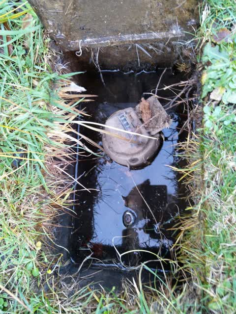 Water Supply, a report photo