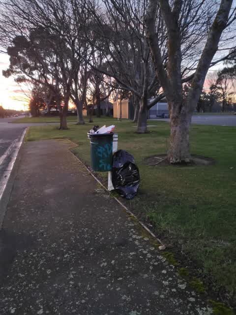 Rubbish/Recycling, a report photo