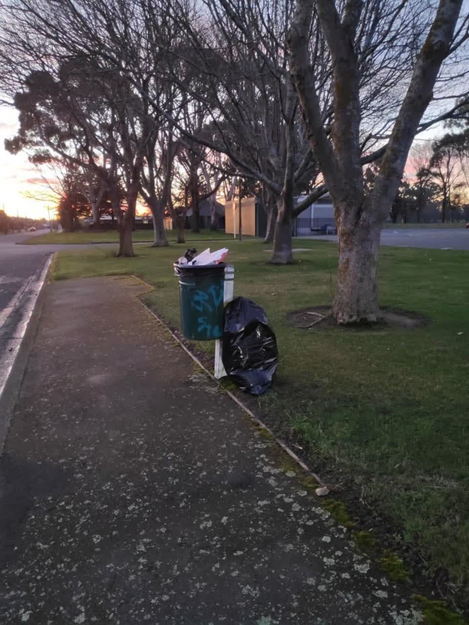 The photograph attached to this rubbish/recycling report