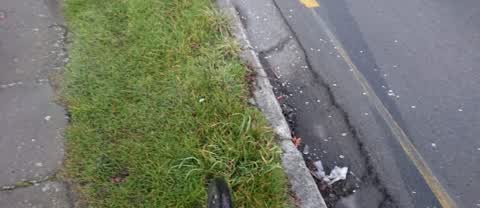 Roading/Streets, a report photo