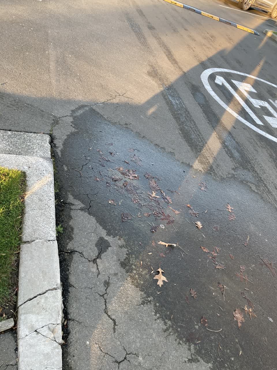 The photograph attached to this wastewater/stormwater report