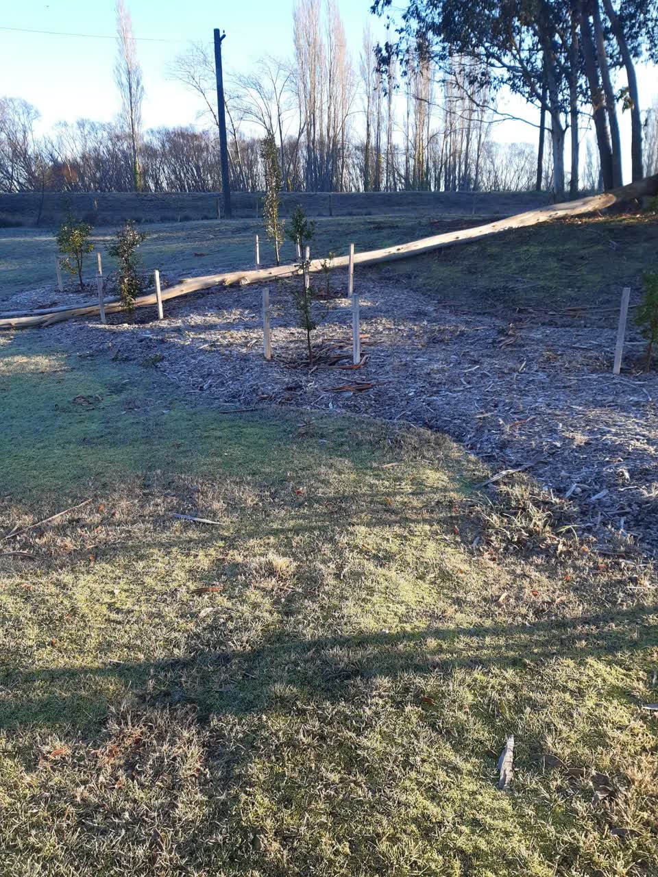 The photograph attached to this parks report