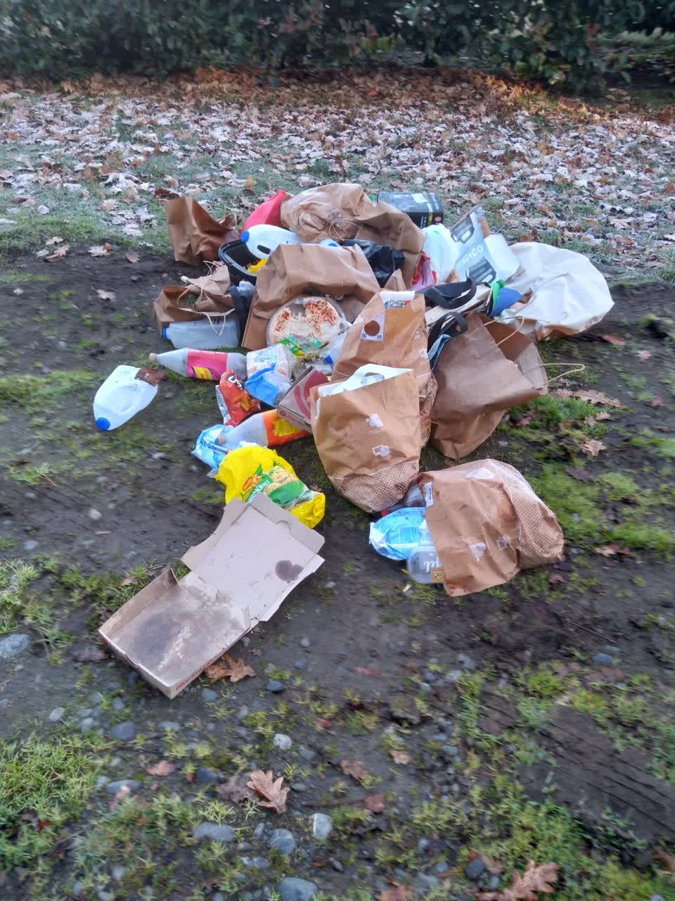 The photograph attached to this rubbish/recycling report