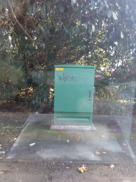 Graffiti, a report photo