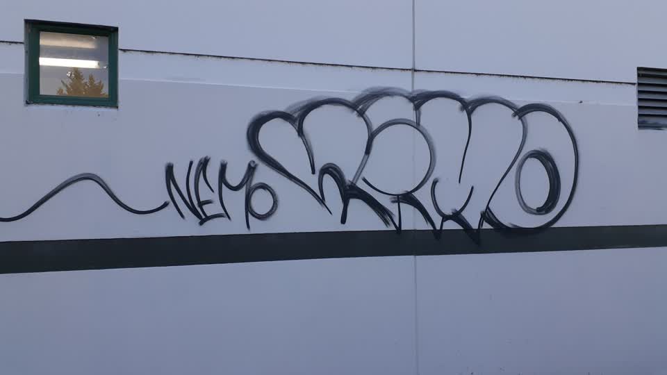 The photograph attached to this graffiti report