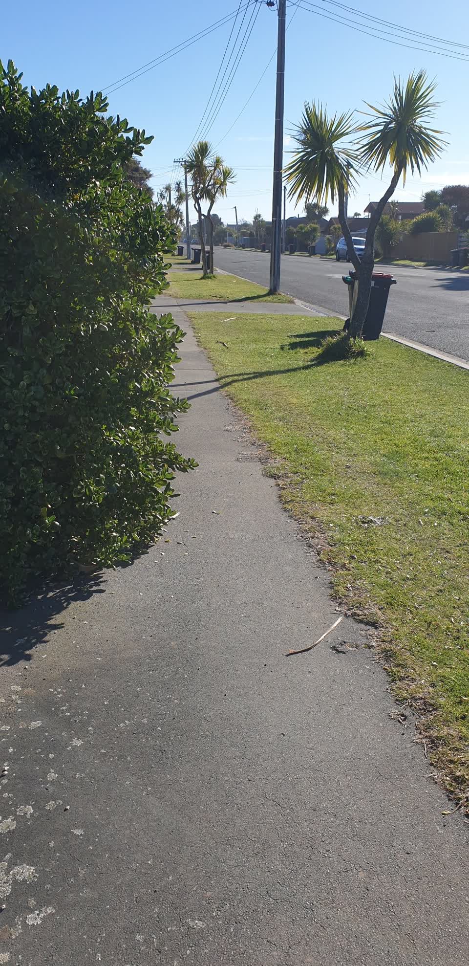The photograph attached to this roading/streets report