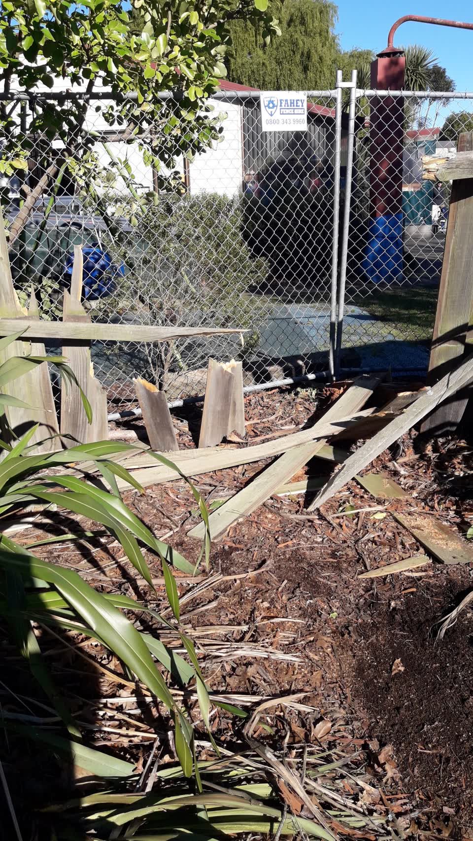 The photograph attached to this parks report