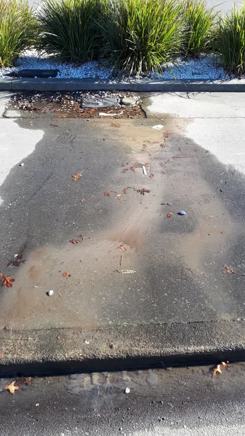Water Leak, a report photo