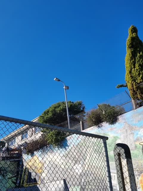 Street Light Outage — a report photo
