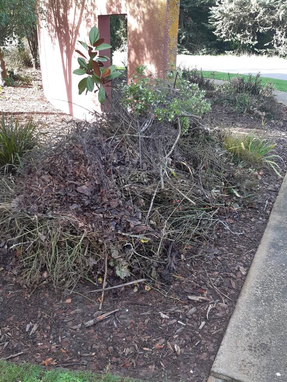 The photograph attached to this parks report