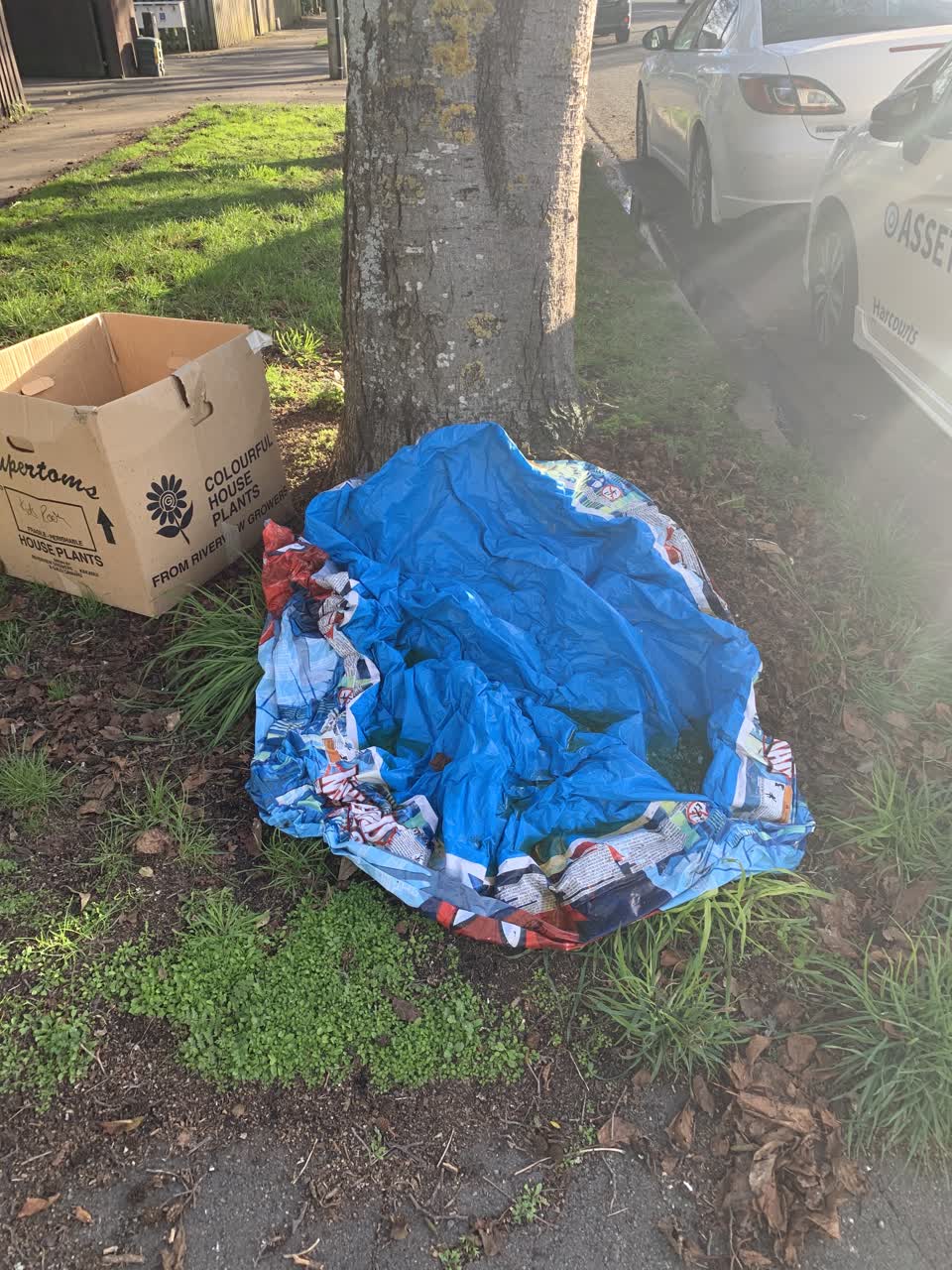 The photograph attached to this rubbish/recycling report