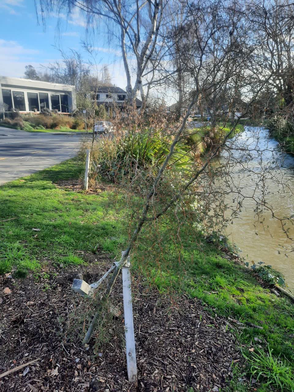 The photograph attached to this parks report