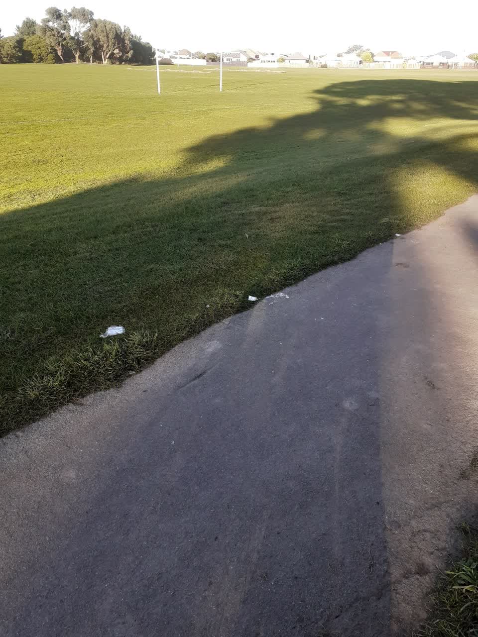 The photograph attached to this parks report