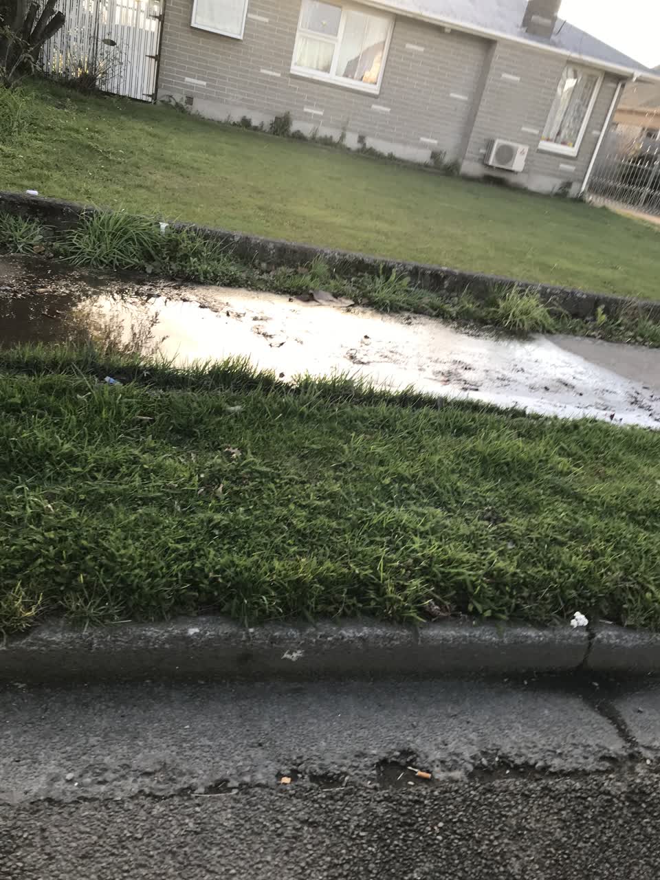 The photograph attached to this water leak report