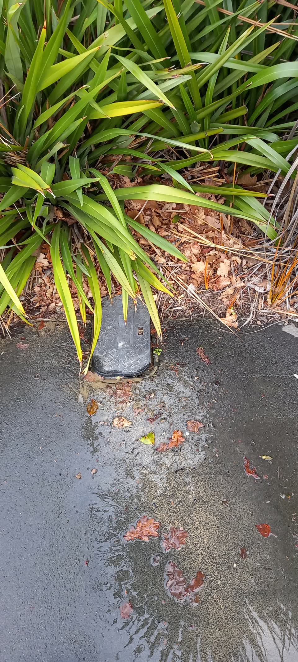 The photograph attached to this water leak report