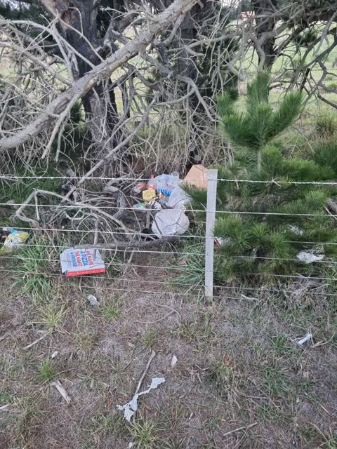 Rubbish/Recycling, a report photo