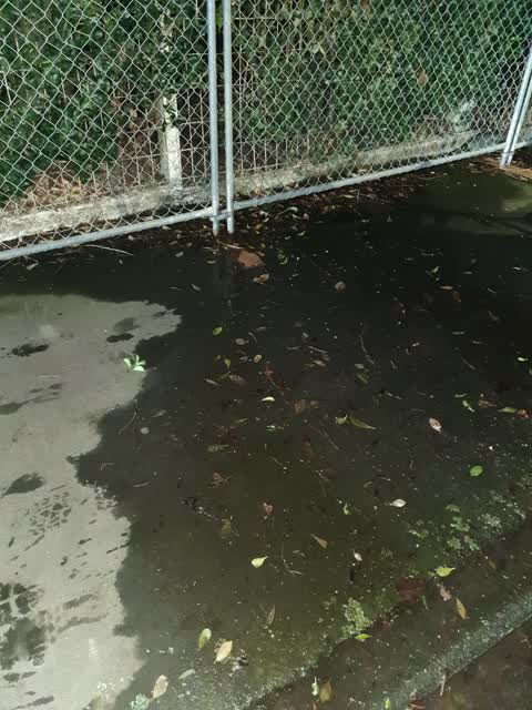 Water Leak, a report photo