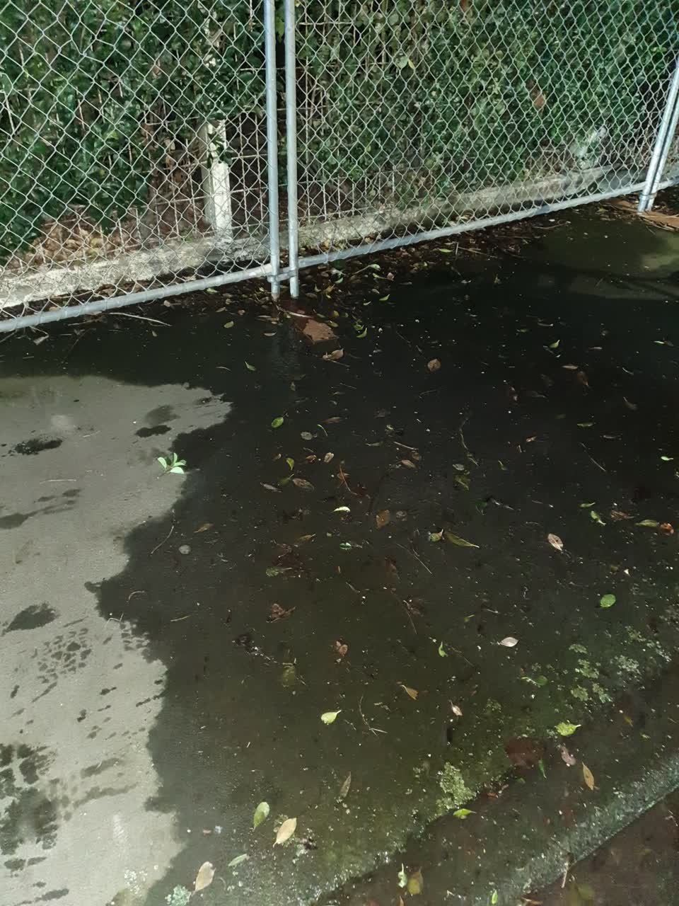 The photograph attached to this water leak report