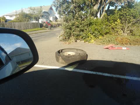 Rubbish/Recycling, a report photo