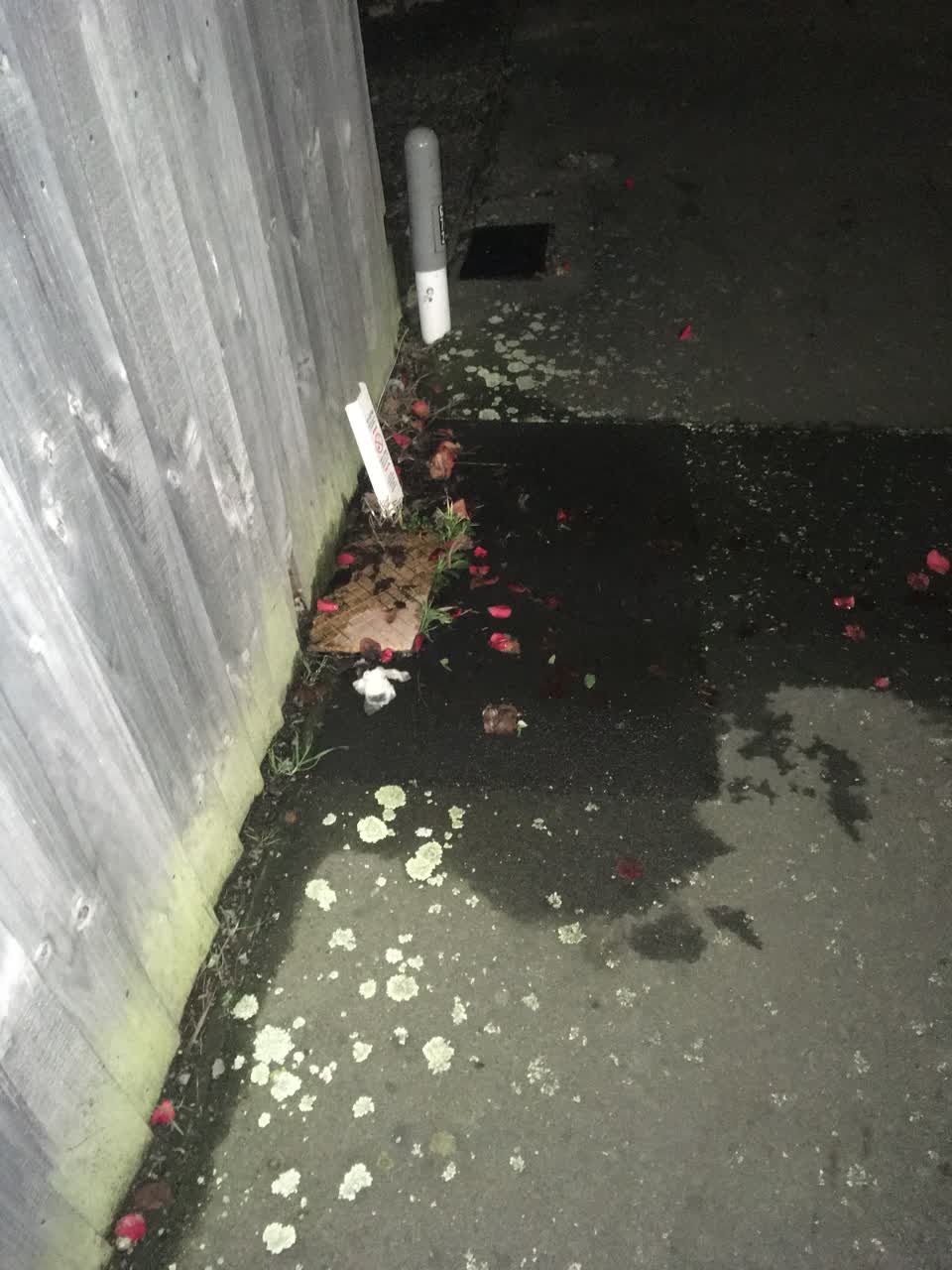 The photograph attached to this water leak report