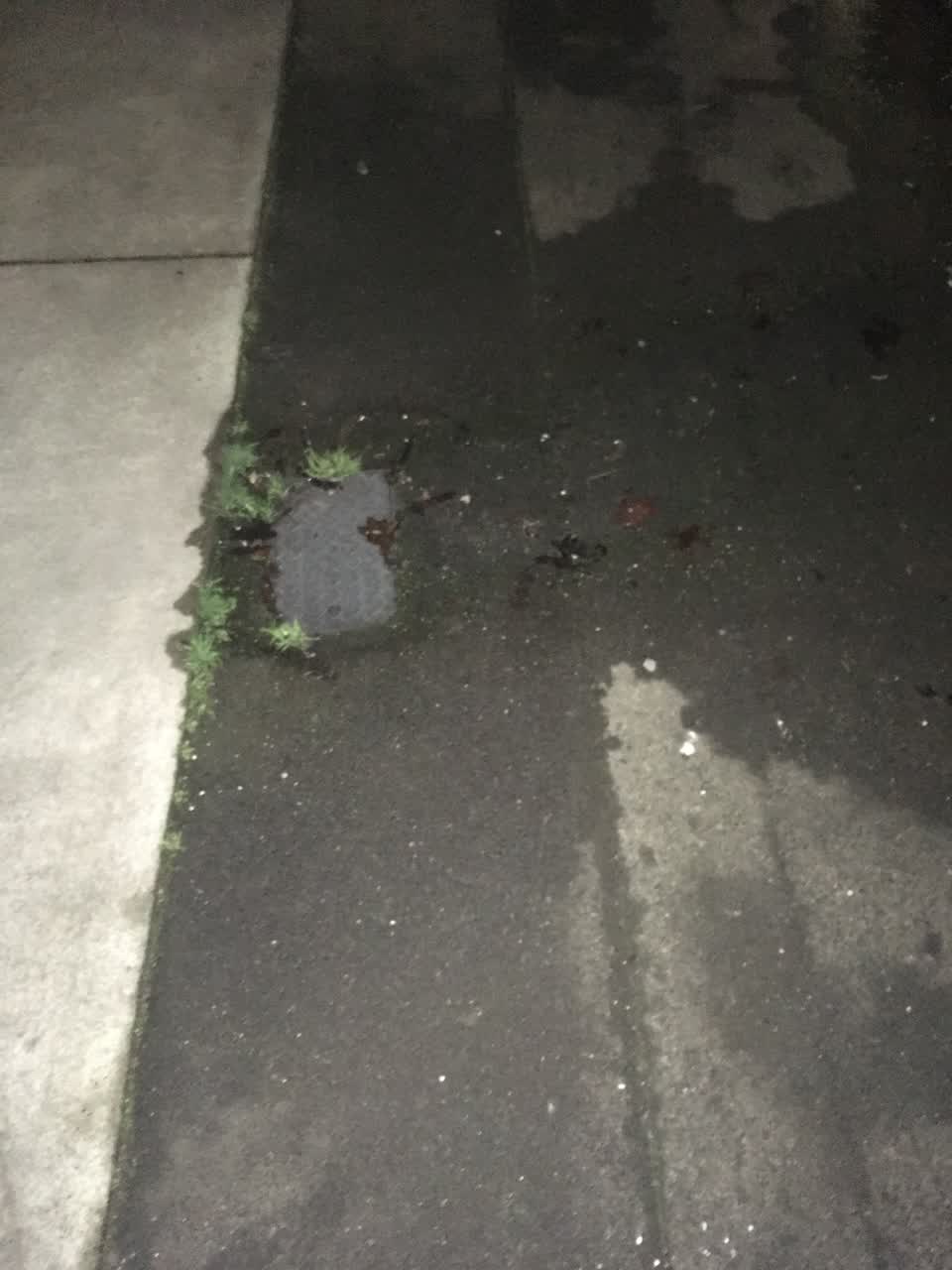 The photograph attached to this water leak report