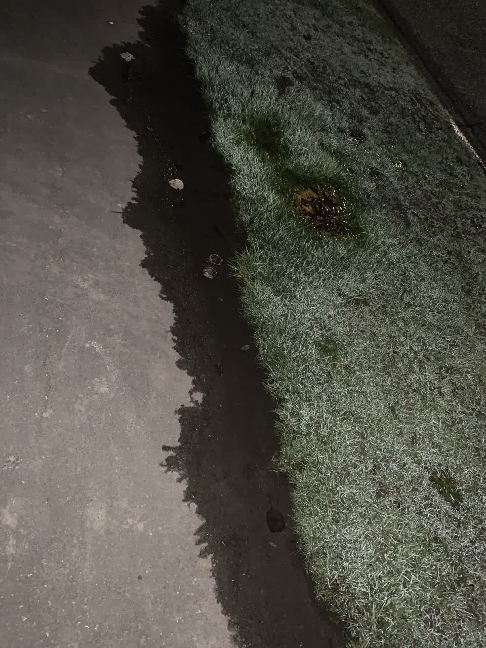 The photograph attached to this water leak report