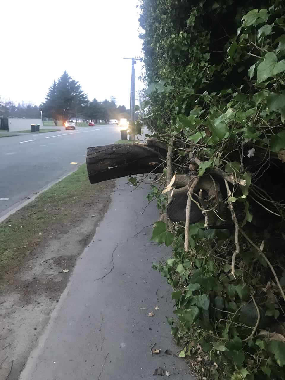 The photograph attached to this roading/streets report