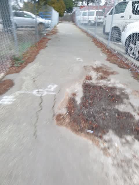 Roading/Streets, a report photo