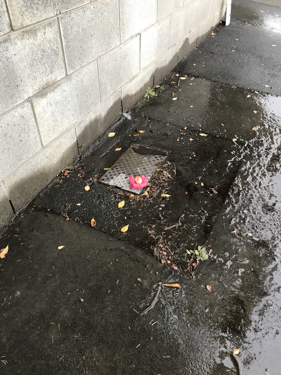 The photograph attached to this water leak report