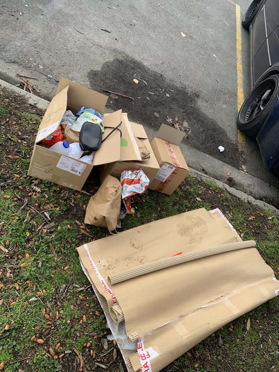 The photograph attached to this rubbish/recycling report