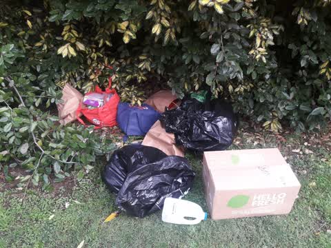 Parks, a report photo