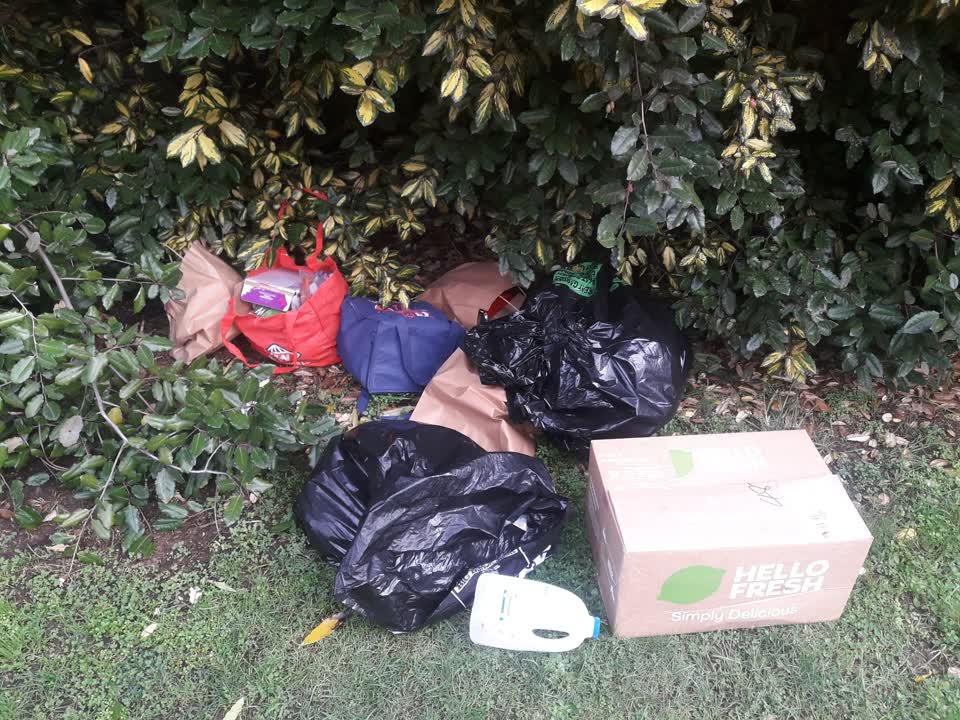The photograph attached to this parks report