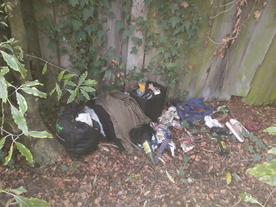 The photograph attached to this parks report