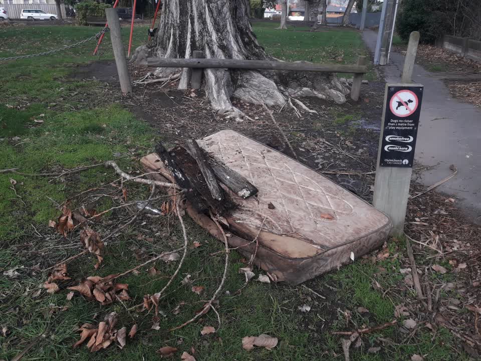 The photograph attached to this parks report