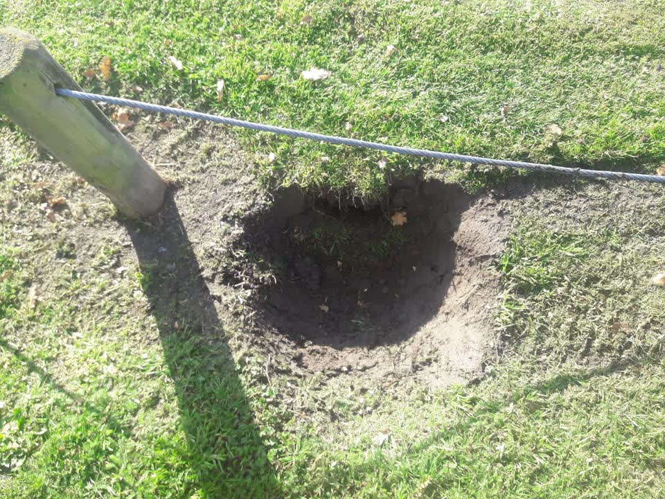 The photograph attached to this parks report