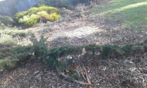Parks, a report photo